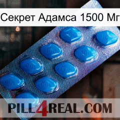 Секрет Адамса 1500 Мг viagra1